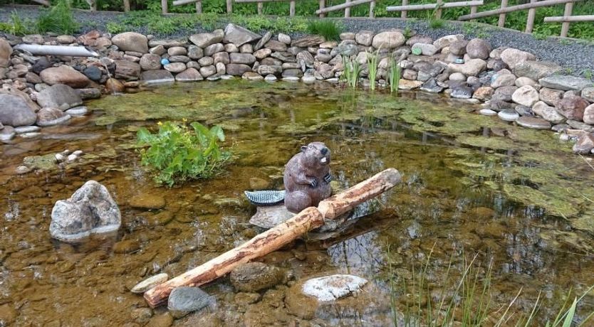 Photo of Chalupa U Bobra Apartment 2