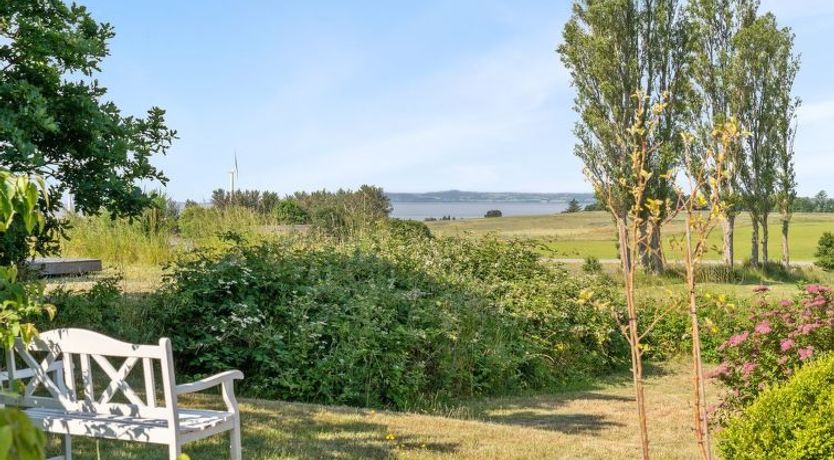 Photo of "Drine" - 700m from the sea