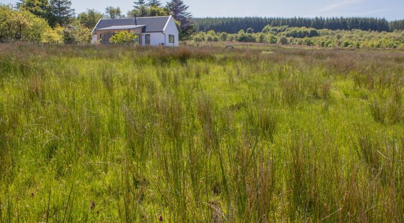 Photo of Finnan's Byre