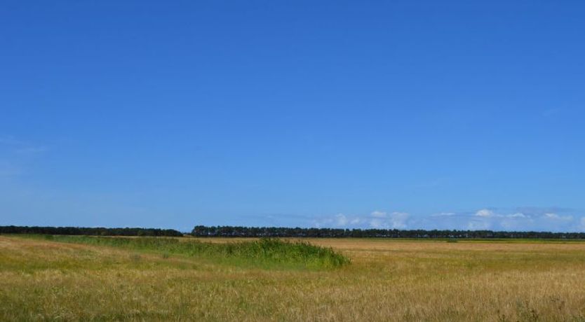 Photo of "Anna" - 1km from the sea