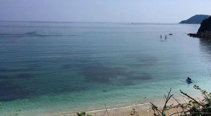 Photo of The Saltings