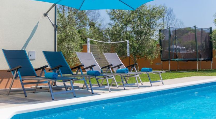 Photo of Linden Tree