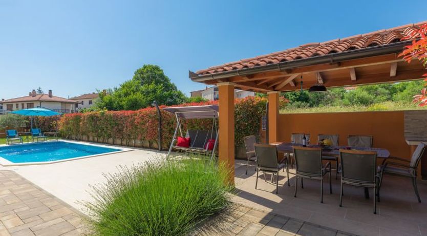 Photo of Linden Tree