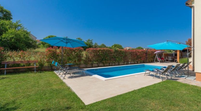 Photo of Linden Tree