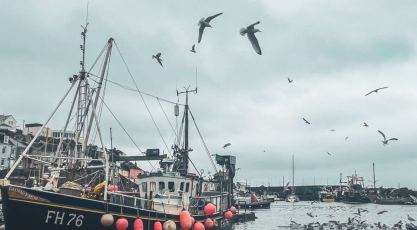 Photo of Dreckly Tides