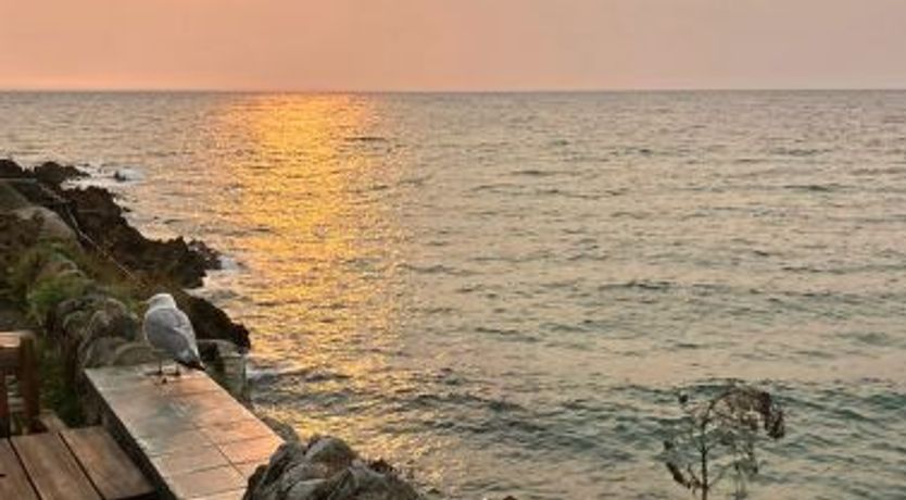 Photo of Dreckly Tides