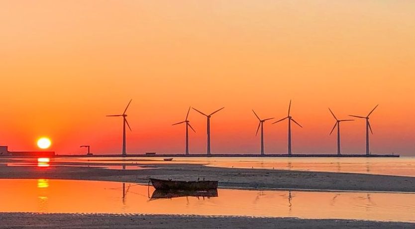 Photo of "Ludewiga" - 350m from the sea