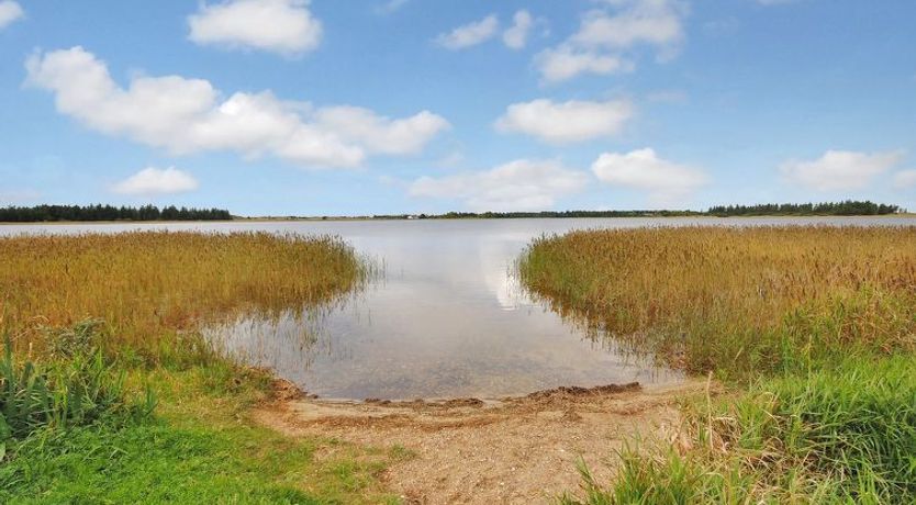 Photo of "Sophia" - 8km from the sea