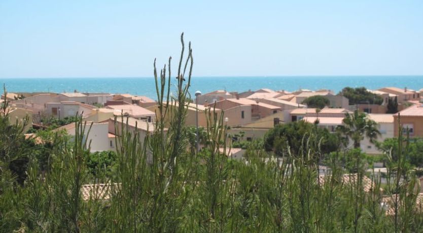 Photo of Petite Cigale