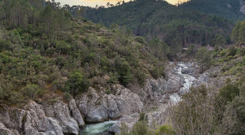 Photo of Migone de Sampolo