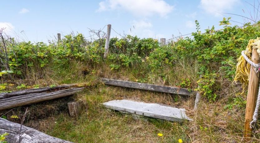 Photo of "Pia" - 400m from the sea