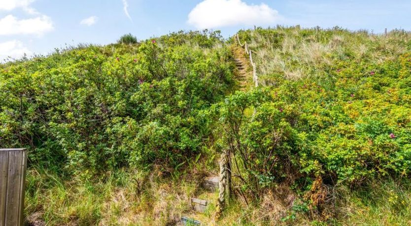 Photo of "Pia" - 400m from the sea