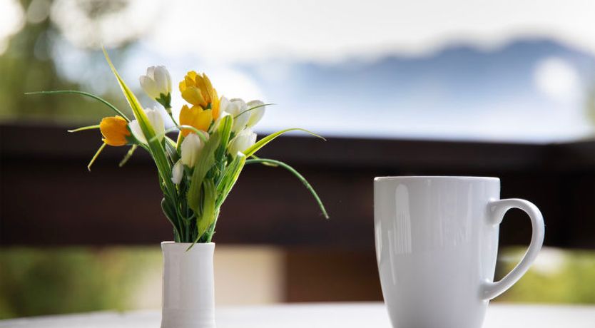 Photo of Galaxie 217 Apartment 5