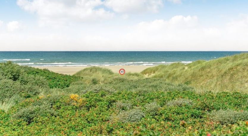 Photo of "Ejvind" - 100m from the sea