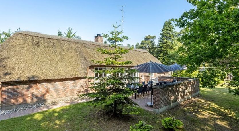 Photo of "Pauna" - 50m from the sea