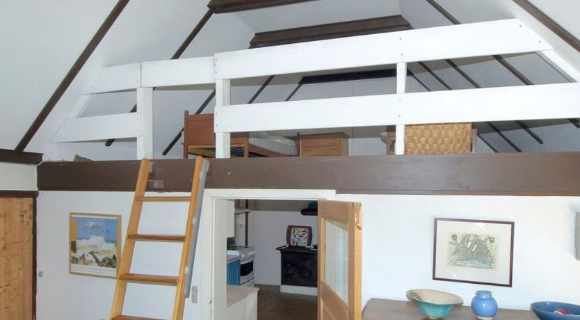 Photo of "Viggo" - 300m from the sea