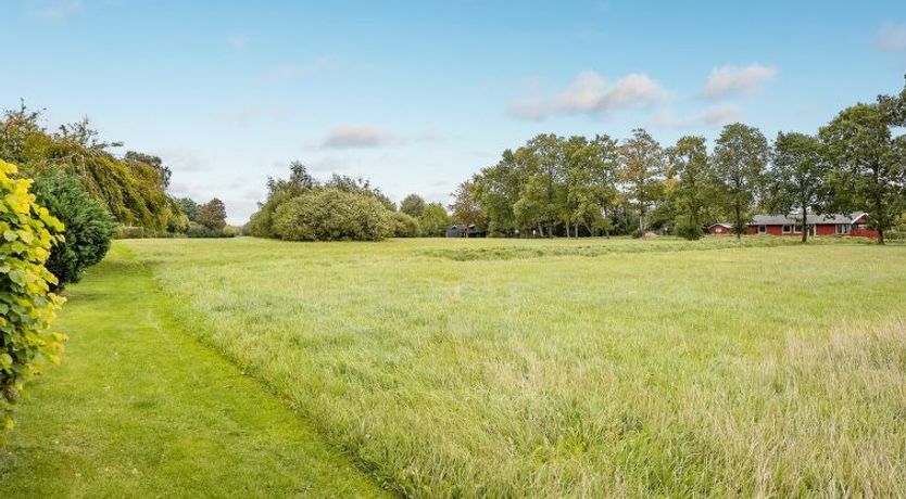 Photo of "Armund" - 300m from the sea