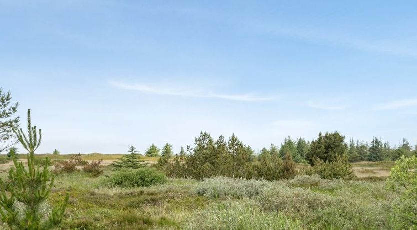 Photo of "Doria" - 2km from the sea