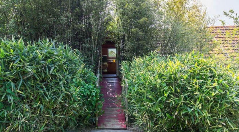 Photo of La Part des Anges