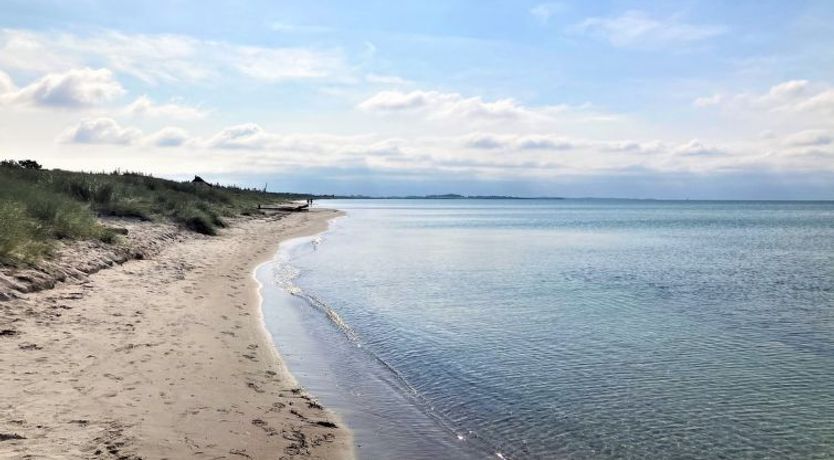 Photo of "Kustaa" - 1km from the sea