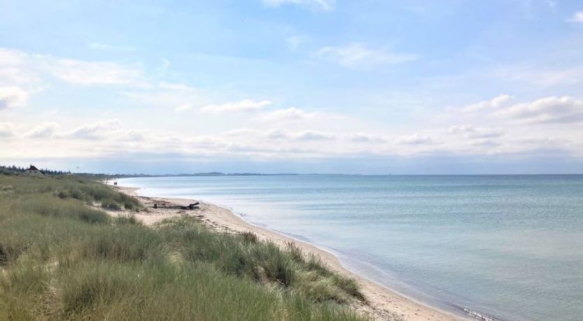 Photo of "Kustaa" - 1km from the sea