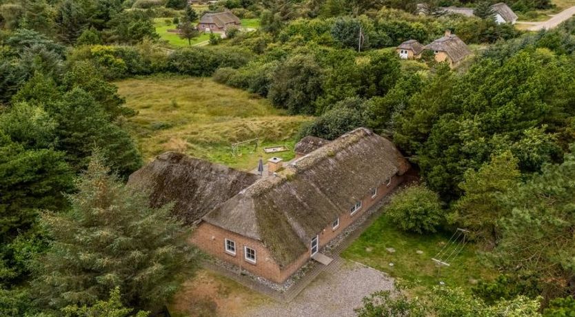 Photo of "Hedi" - 900m from the sea