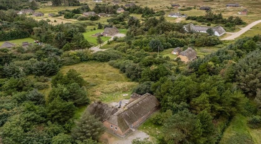 Photo of "Hedi" - 900m from the sea