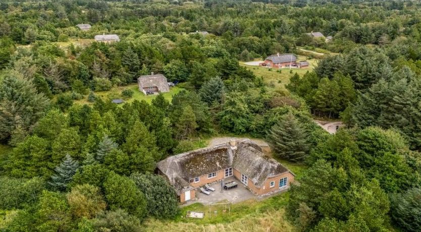 Photo of "Hedi" - 900m from the sea