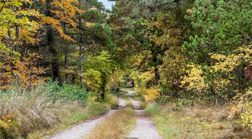 Photo of "Eimi" - 1.5km from the sea