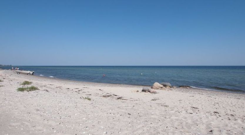 Photo of "Alvina" - 25m from the sea