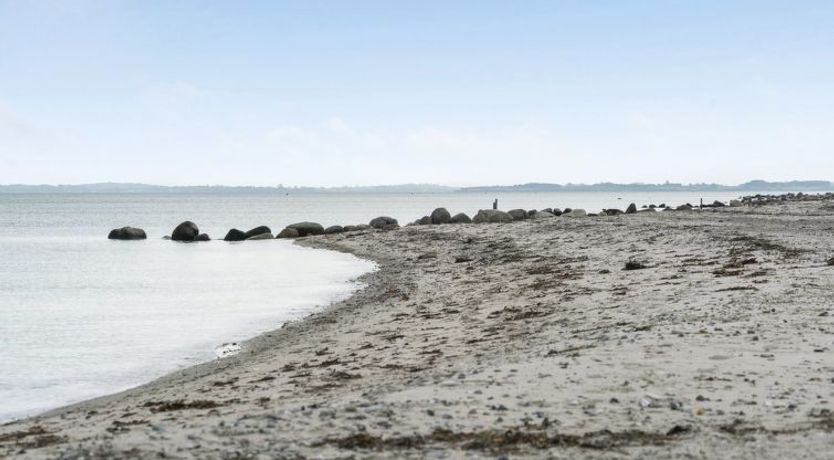 Photo of "Alvina" - 25m from the sea