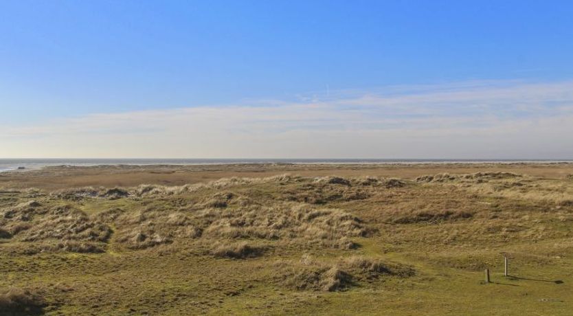 Photo of "Rubi" - 50m from the sea