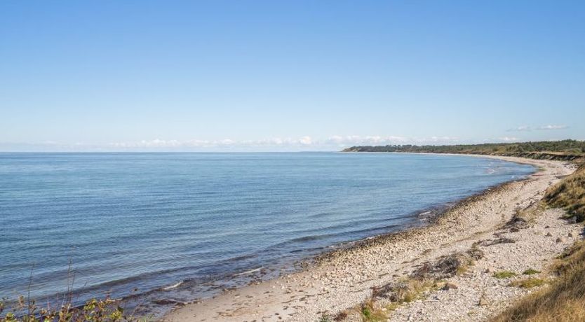 Photo of "Carmen" - 25m from the sea