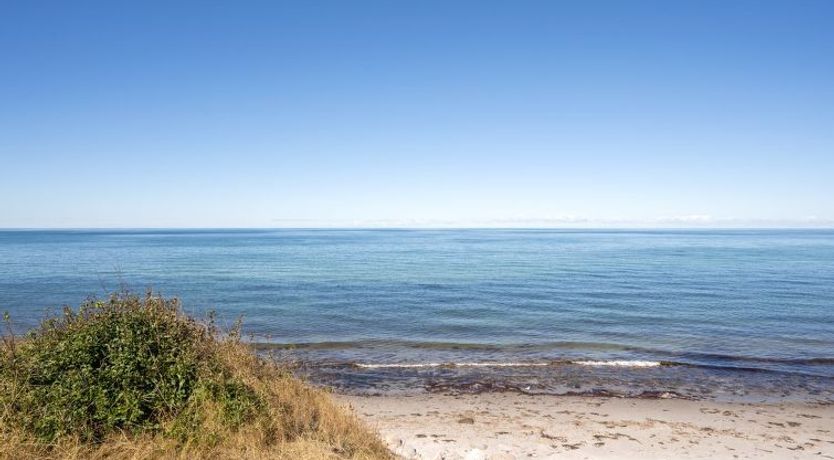 Photo of "Carmen" - 25m from the sea