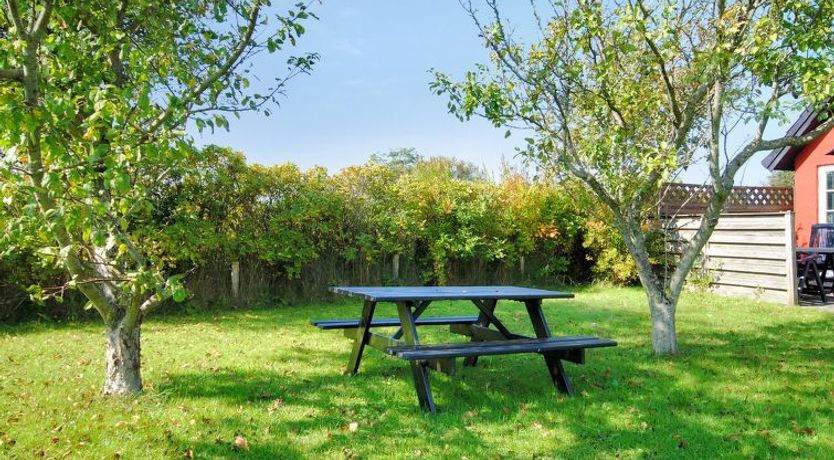 Photo of "Indi" - 400m from the sea