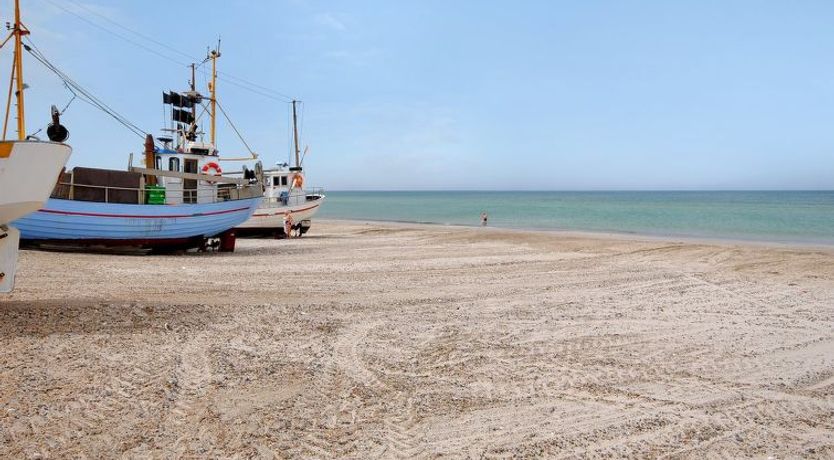 Photo of "Indi" - 400m from the sea