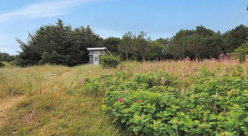 Photo of "Dode" - 225m from the sea