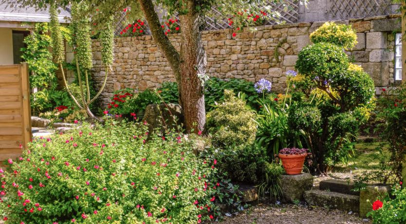 Photo of Manoir des Halles