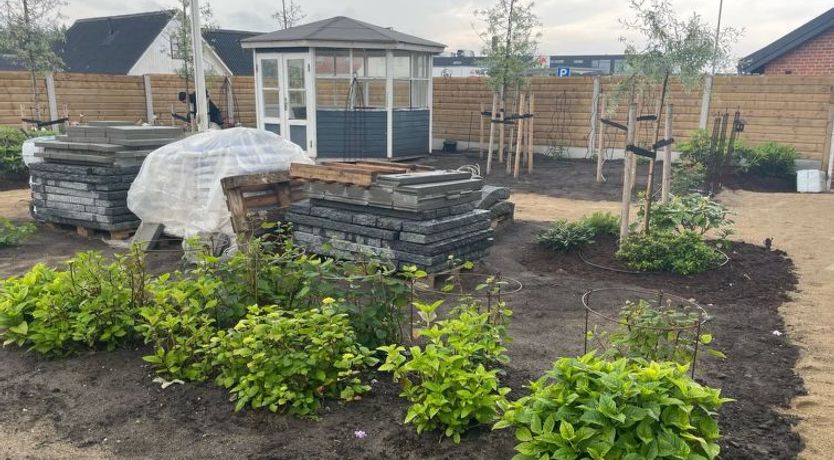 Photo of "Adelina" - 500m from the sea