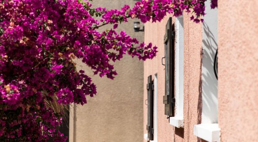 Photo of T3 Costa D'Oru Apartment 3