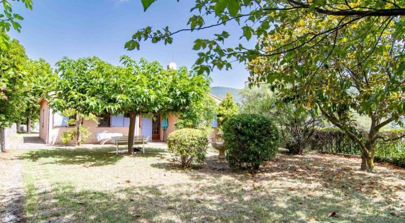 Photo of L'Agapanthe