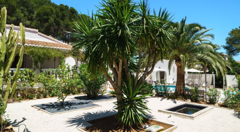 Photo of El Palmeral