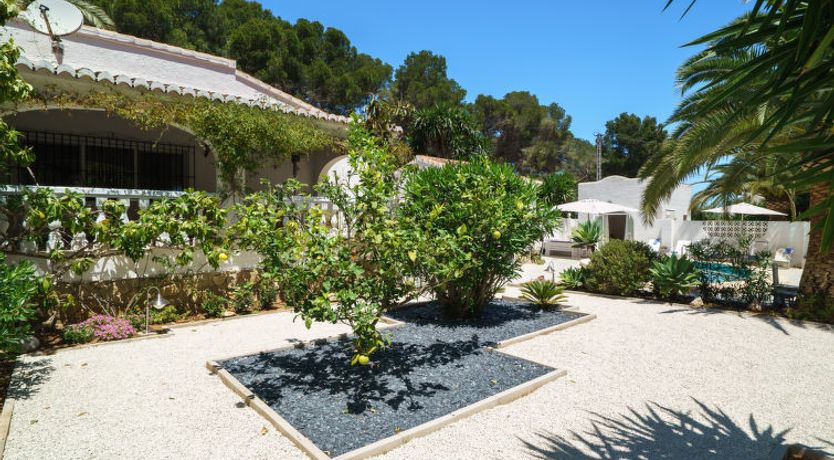 Photo of El Palmeral