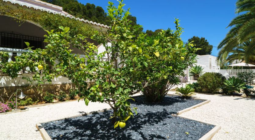 Photo of El Palmeral