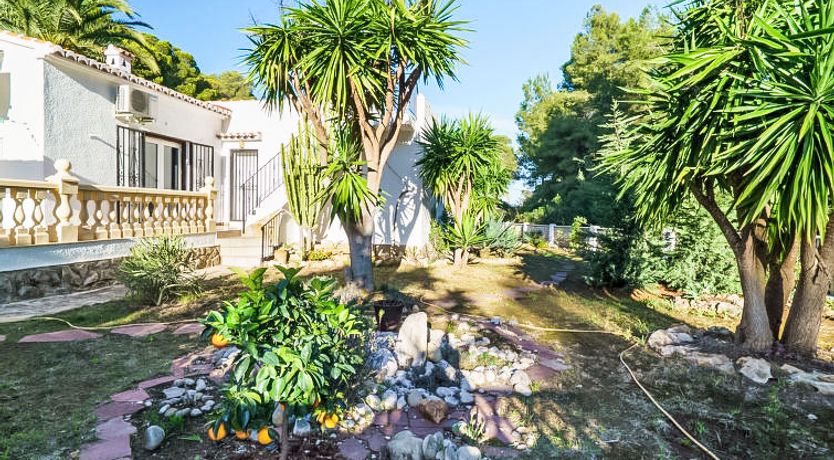 Photo of El Palmeral