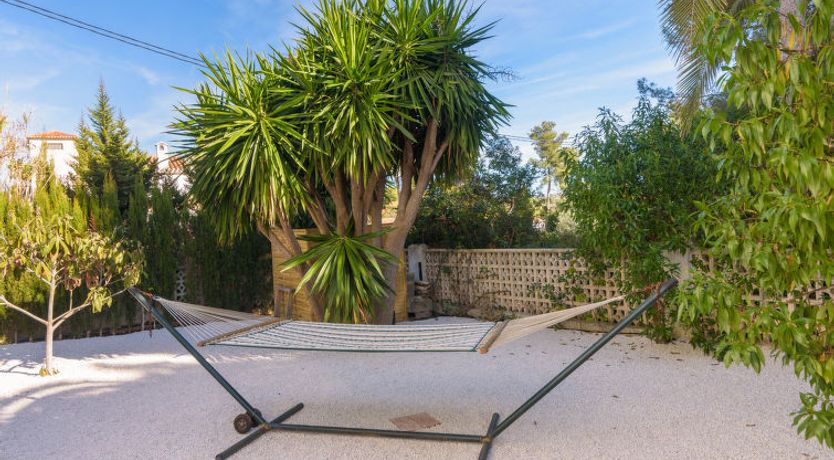 Photo of El Palmeral