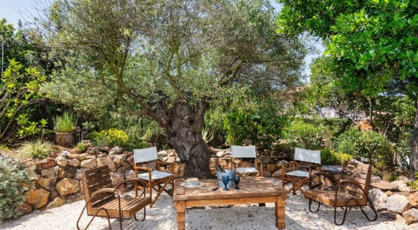 Photo of Casa Blue Art