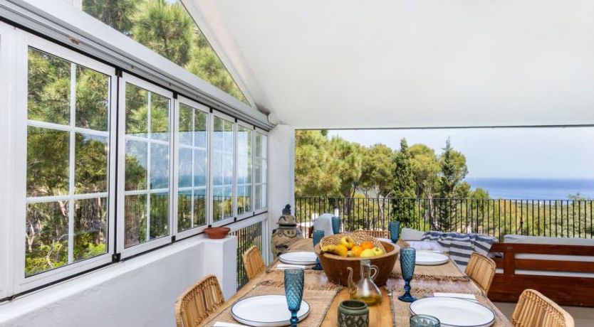 Photo of Casa Blue Art