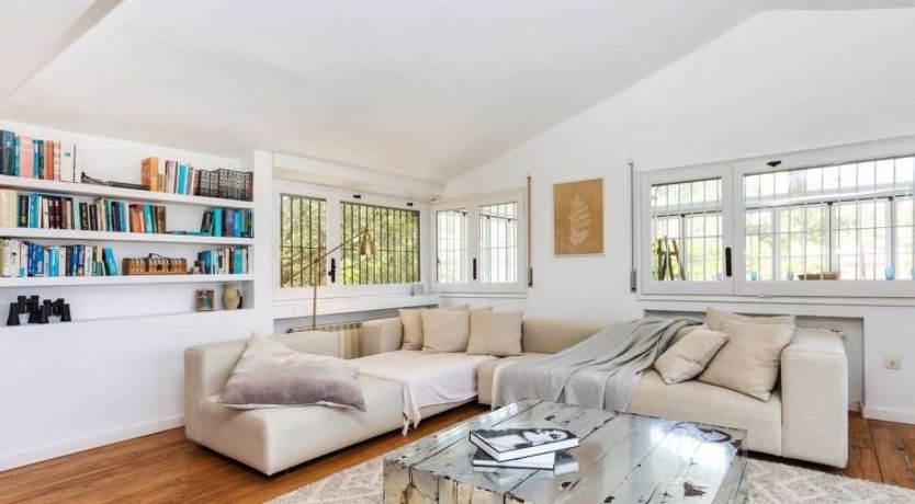 Photo of Casa Blue Art