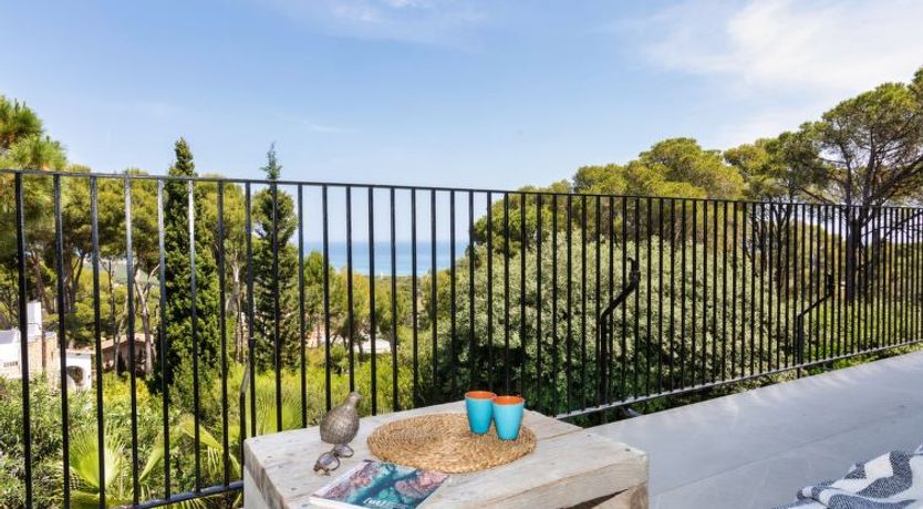 Photo of Casa Blue Art